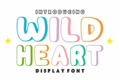 Daily Outline - Cute Outline Font
