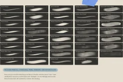 Daily Sketch – Procreate Brushes