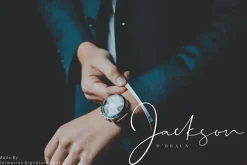 Dalmatins // Elegant Signature Font