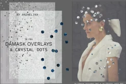 Damask Overlays & Crystal Dots