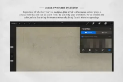 Daniel Marot Procreate Kit