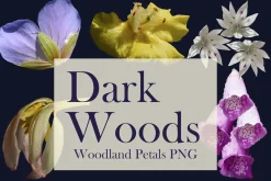 Dark Woods – Woodland Petals PNG