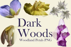Dark Woods – Woodland Petals PNG