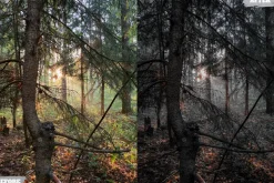 Dark Vibes Lightroom Presets