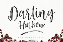 Darling Harbour Brush (NEW UPDATE)