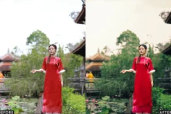 Deep Green Cinematic LR Presets