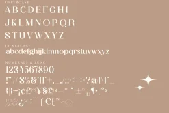 Degila Modern and Stylish Serif Font