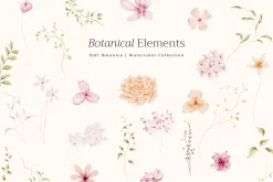 Delicate Pastel Watercolor Flowers