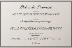 Delicate Promise | Vintage Script