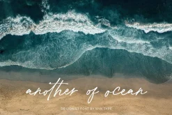 De Lionist - Handwritten Script Font