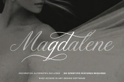 Details - Refined Font Duo