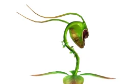 3DFoin - Elongata