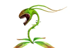 3DFoin - Elongata