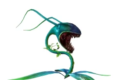 3DFoin - Elongata