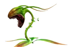 3DFoin - Elongata