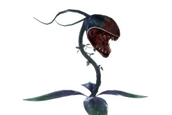 3DFoin - Elongata
