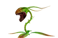 3DFoin - Elongata