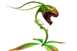 3DFoin - Elongata