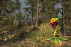3DFoin - Elongata