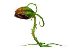 3DFoin - Elongata