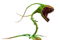 3DFoin - Elongata