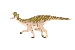 Dinosaurs, prehistoric raptors set