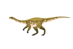 Dinosaurs, prehistoric raptors set