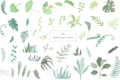 DINOSAUR watercolor clipart.