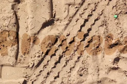 Dirty Sand Assets for Affinity Suite