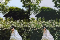 Disposable Film Lightroom Presets