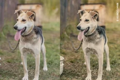 25 Documentary Lightroom Presets LUT