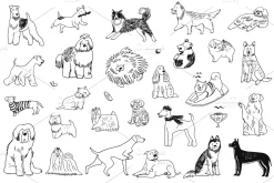 26 Dogs
