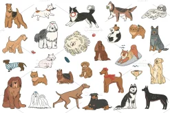 26 Dogs