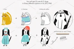 Dogs & Cats