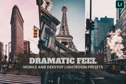 Dramatic Feel Lightroom Presets