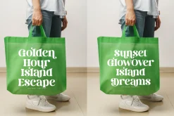 Dream Silvers Modern Serif Font