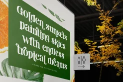 Dream Silvers Modern Serif Font