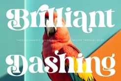 Dream Silvers Modern Serif Font