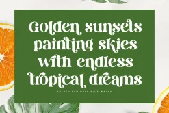 Dream Silvers Modern Serif Font