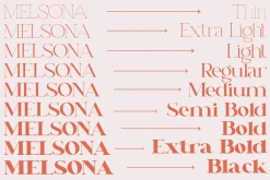 Dreams Note | Family Serif Font