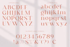 Dreams Note | Family Serif Font