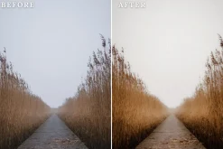 Dreamy Lightroom Presets