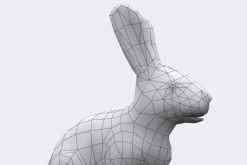 3DRT - Wild animals -Hare