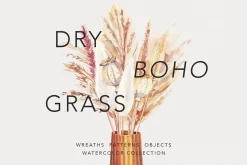 Dry boho grass and herbs watercolor