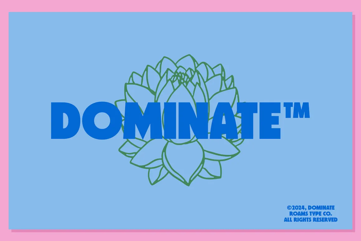 Drynida - 90’s Pop Headline font