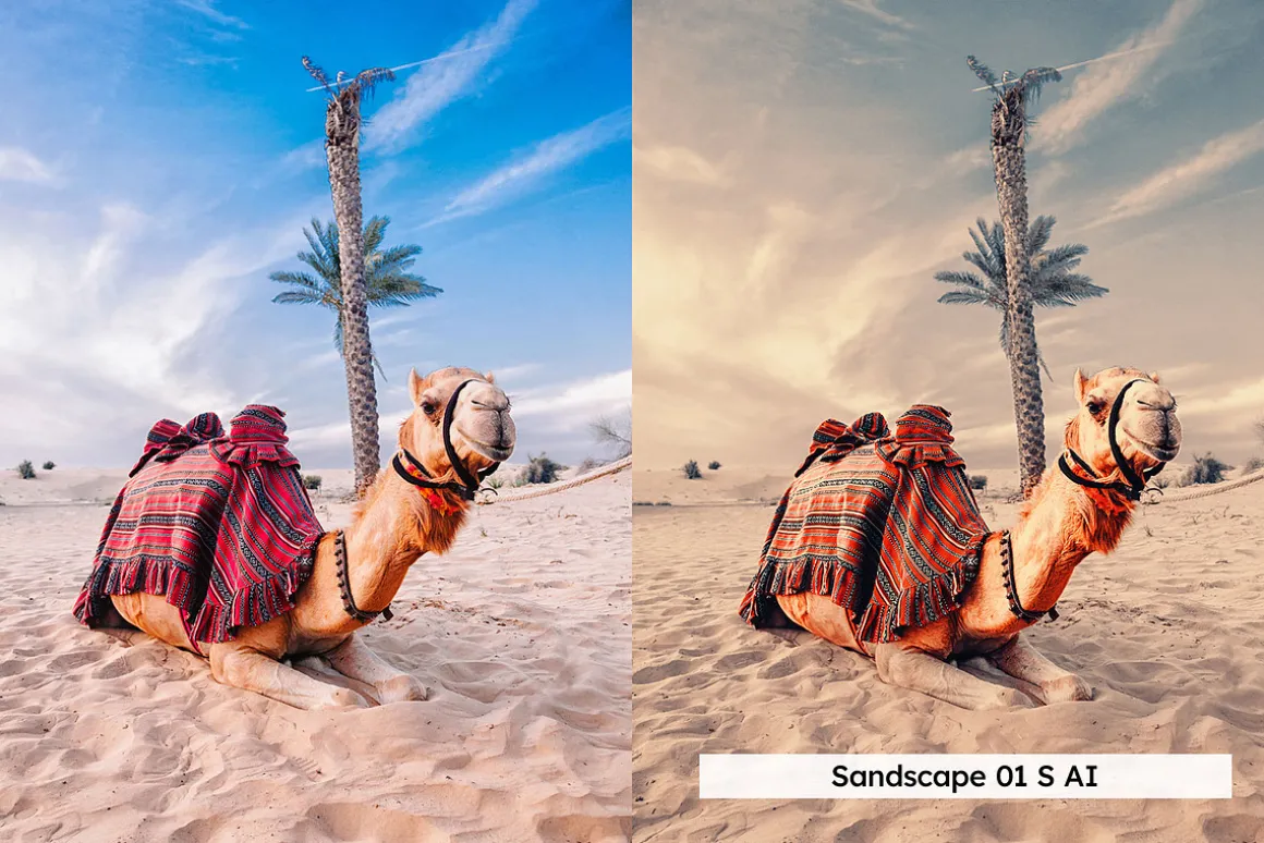 20 Dubai Lightroom Presets LUTs