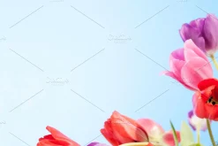 20 Easter Stock Photos - 81% OFF