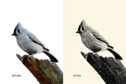 Easy Engraver Effects for Photoshop