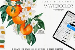 Easy Watercolor Studio for Procreate