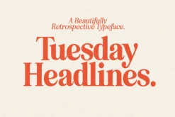 Eighties Comeback Serif (70 fonts)